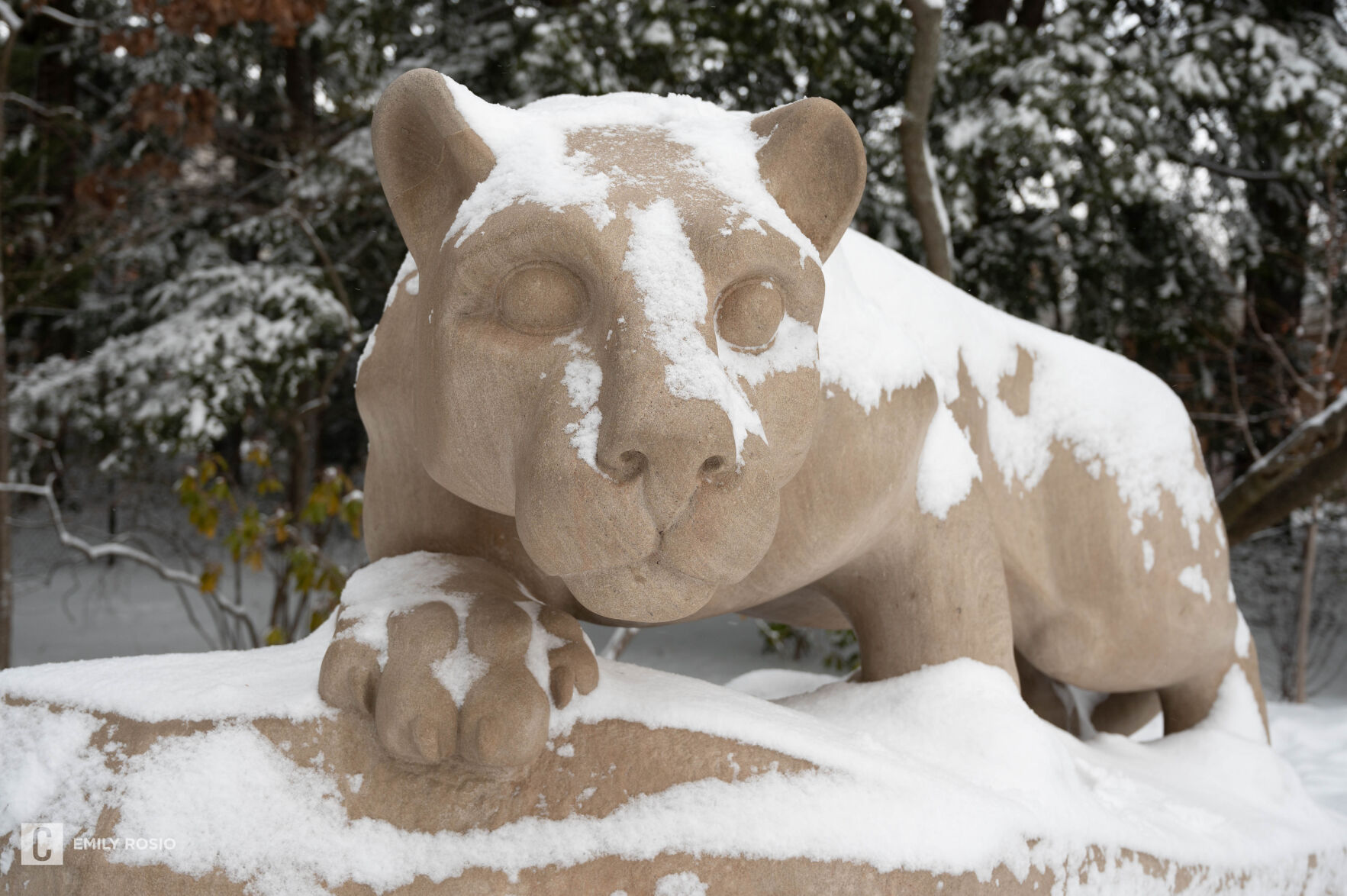Snow Day, Shrine